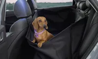 Rear seat pet cover
