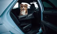 Rear seat pet cover