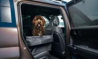 Rear seat pet cover